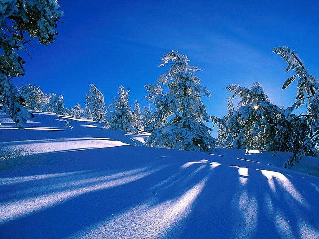 1024X768 Winter Wallpaper and Background