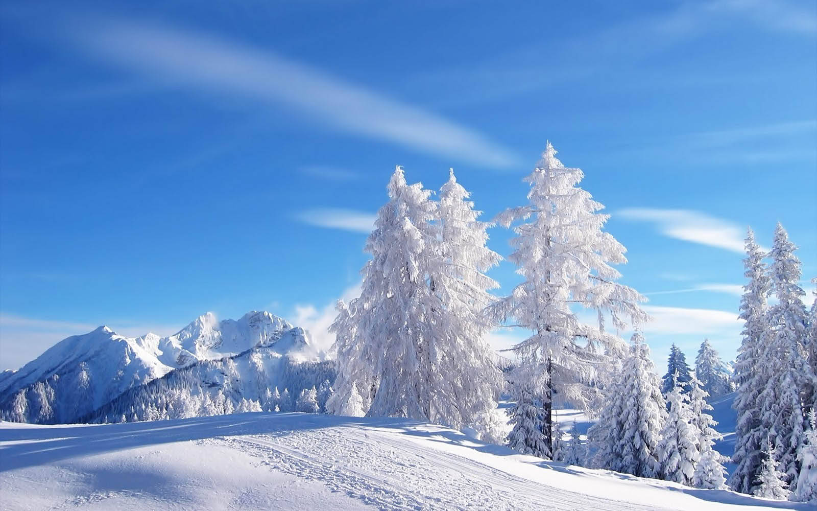 1600X1000 Winter Wallpaper and Background