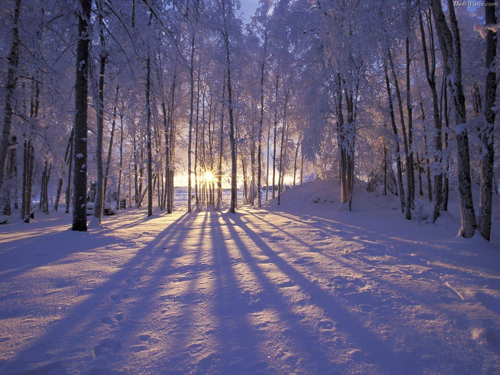 Winter 1600X1200 Wallpaper and Background Image