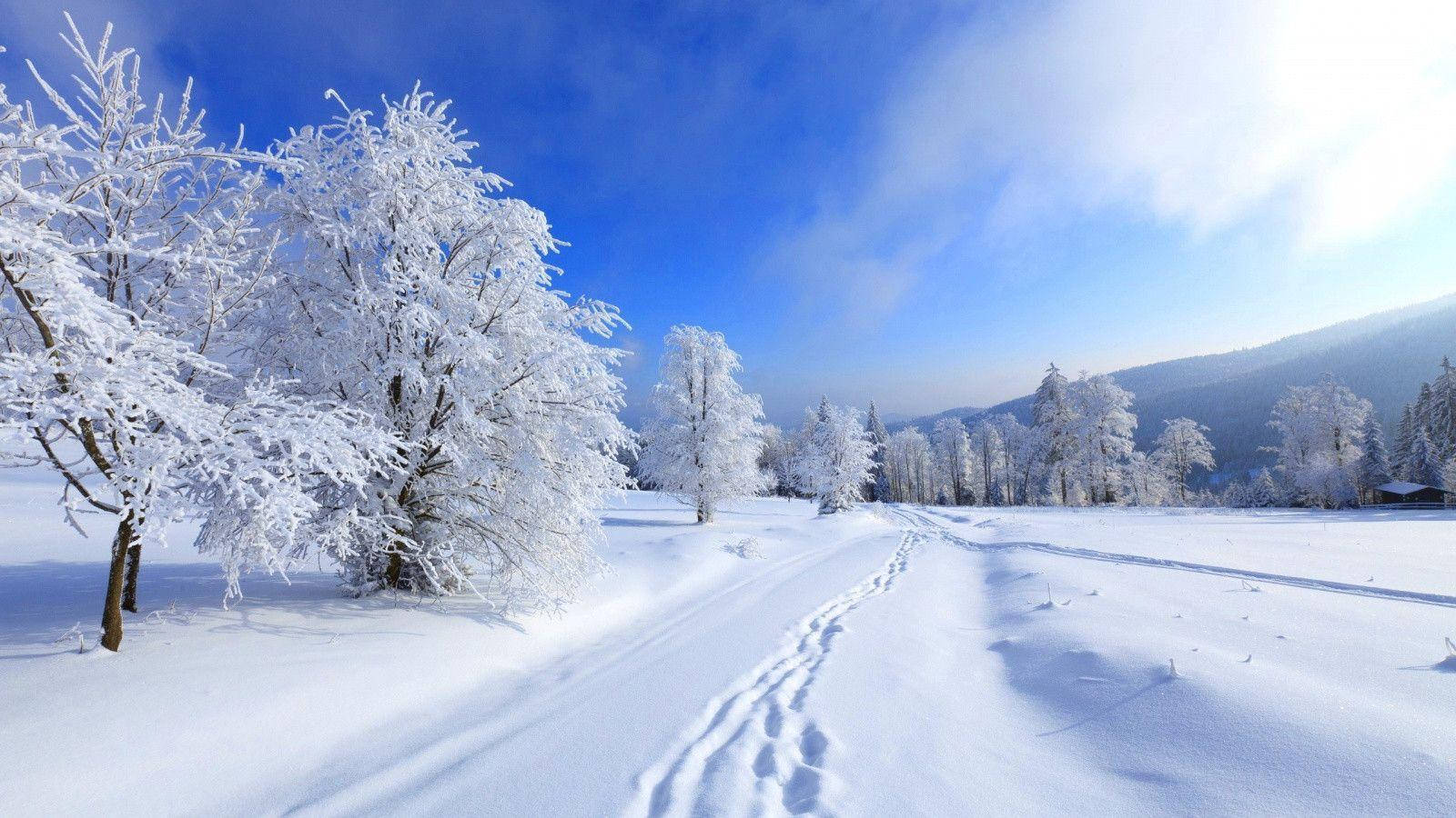Winter 1600X900 Wallpaper and Background Image