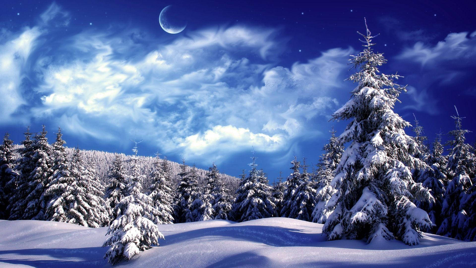 Winter 1920X1080 Wallpaper and Background Image