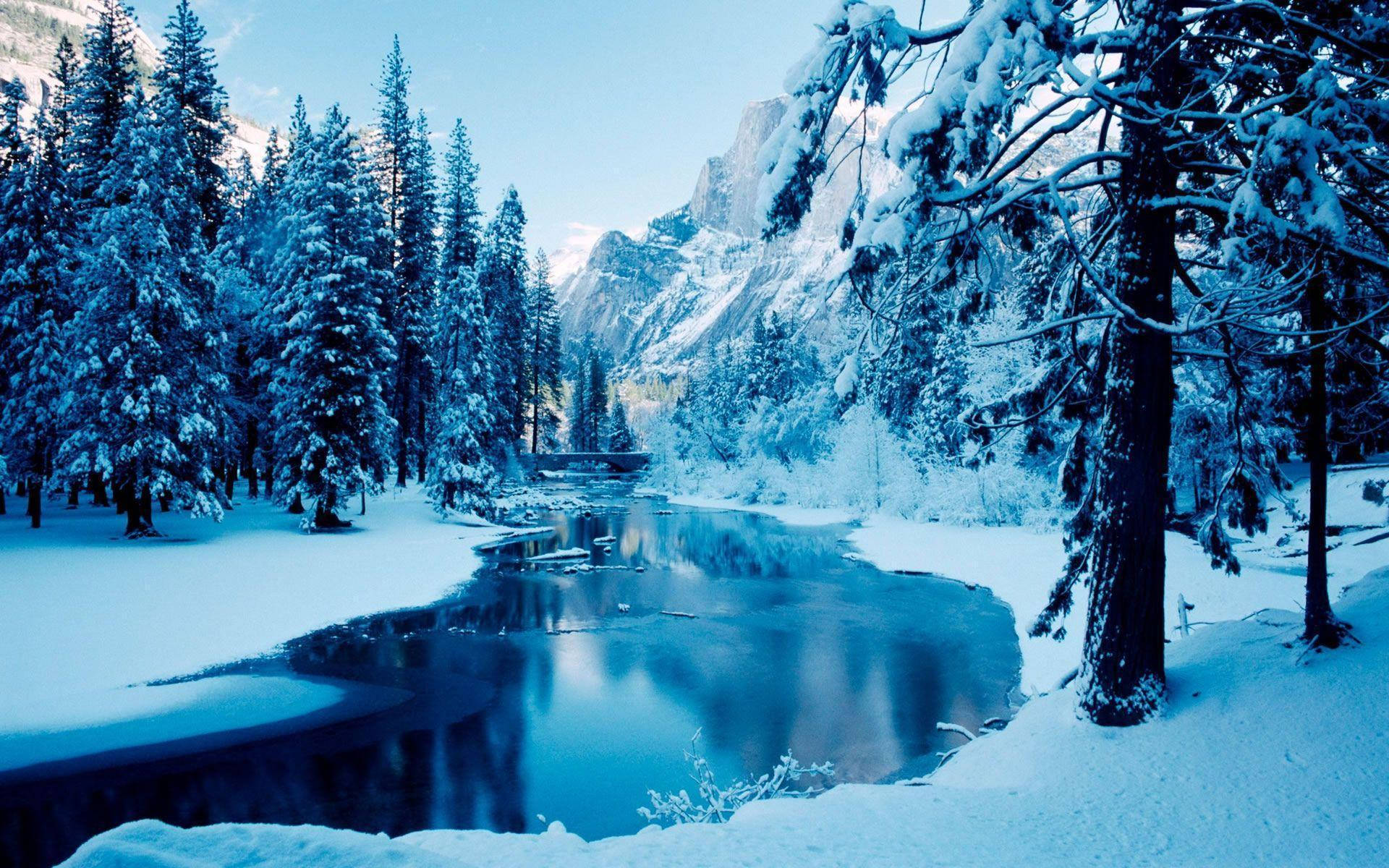 1920X1200 Winter Wallpaper and Background