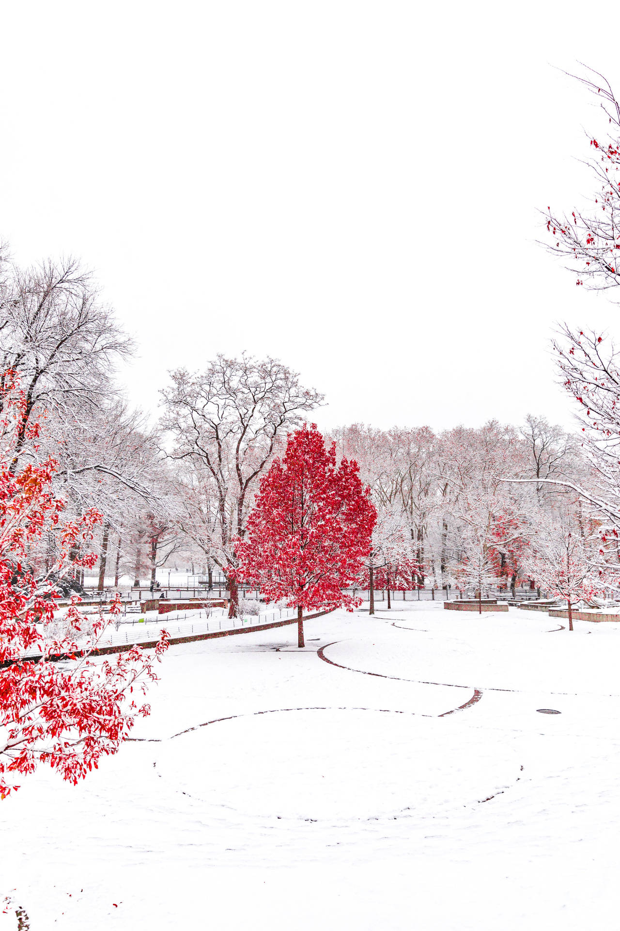 50 Winter Backgrounds You Can Download Free - Mashtrelo