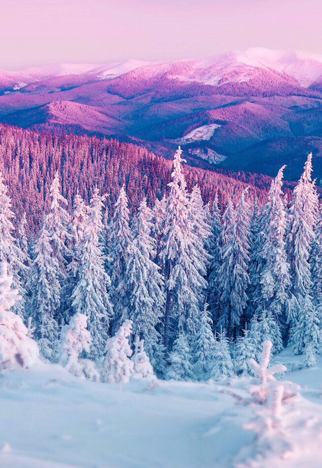 1125X1637 Winter Iphone Wallpaper and Background
