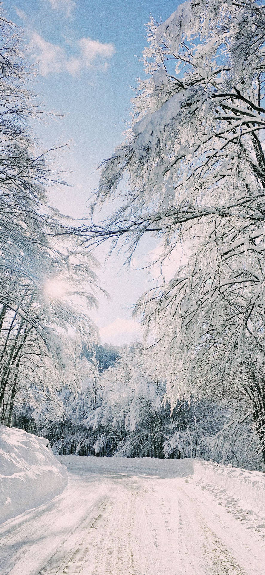 1125X2436 Winter Iphone Wallpaper and Background