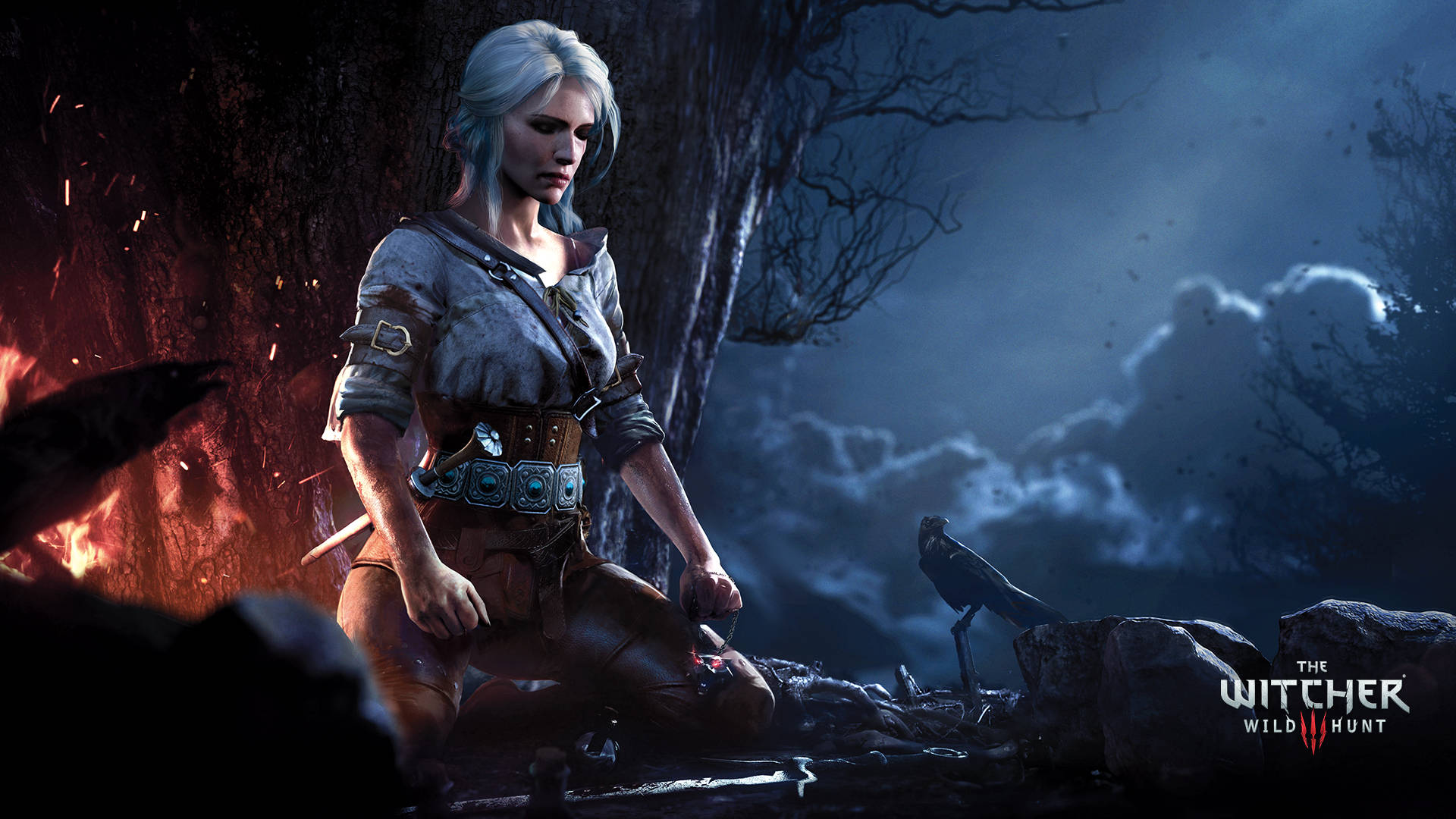 1920X1080 Witcher Wallpaper and Background