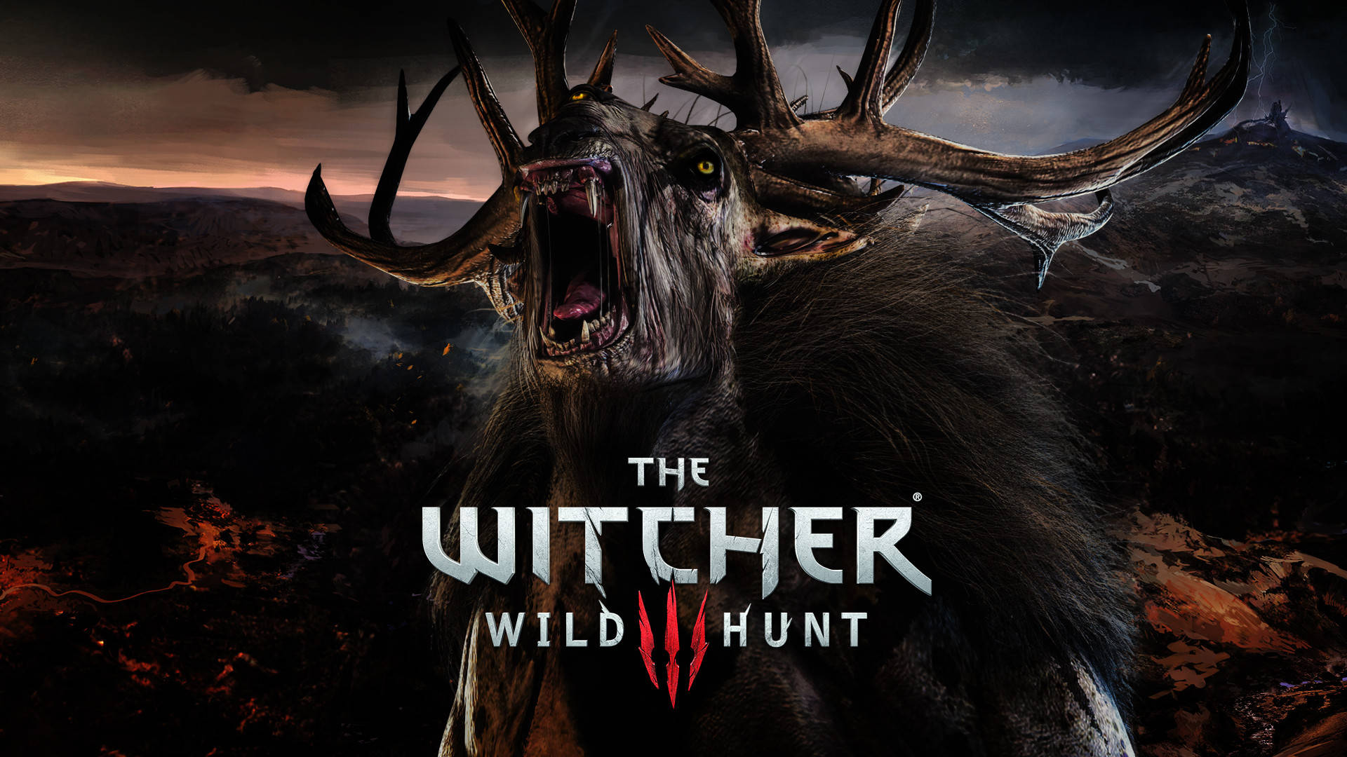 Witcher 1920X1080 Wallpaper and Background Image