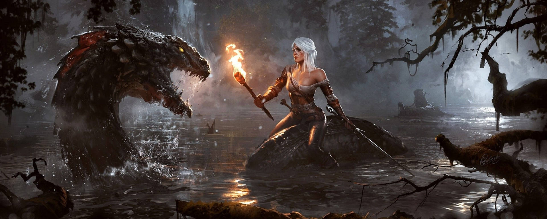 Witcher 2560X1024 Wallpaper and Background Image
