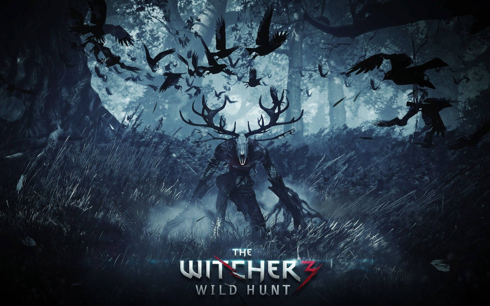 1920X1200 Witcher 3 Wallpaper and Background