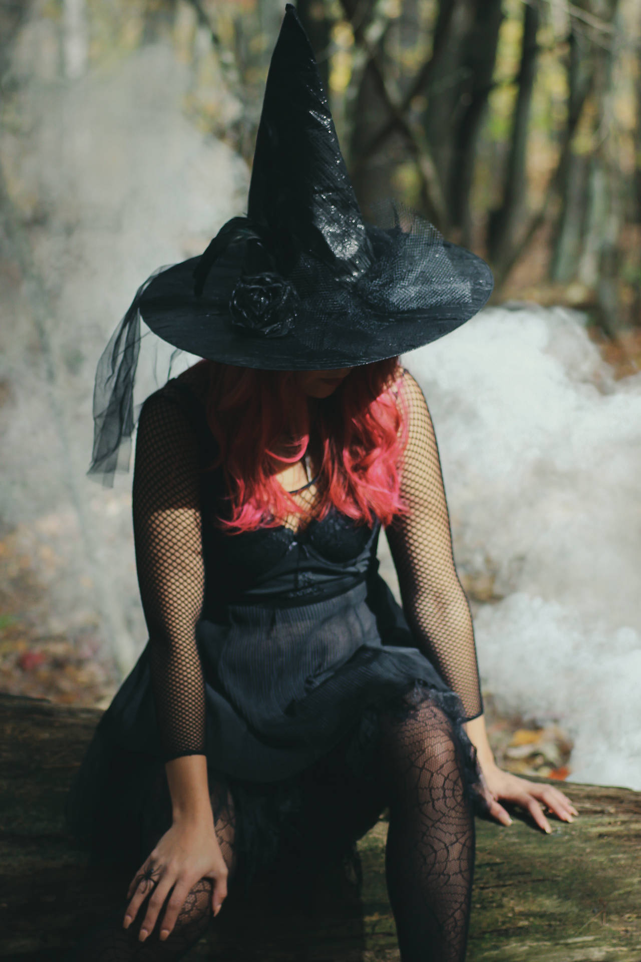 Witchy 3391X5087 Wallpaper and Background Image