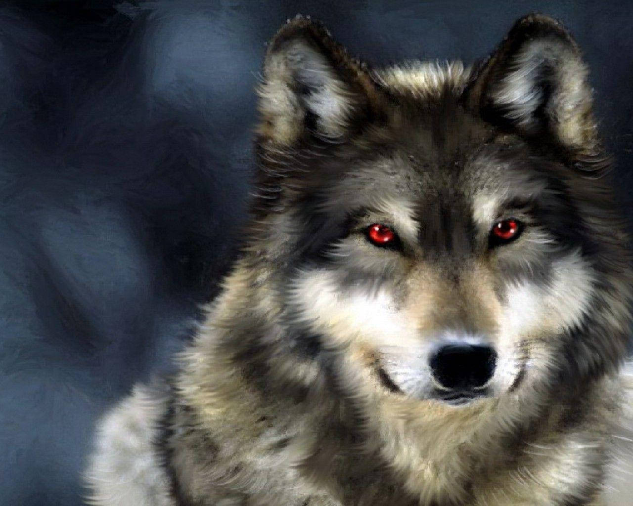 Wolf 1280X1024 Wallpaper and Background Image