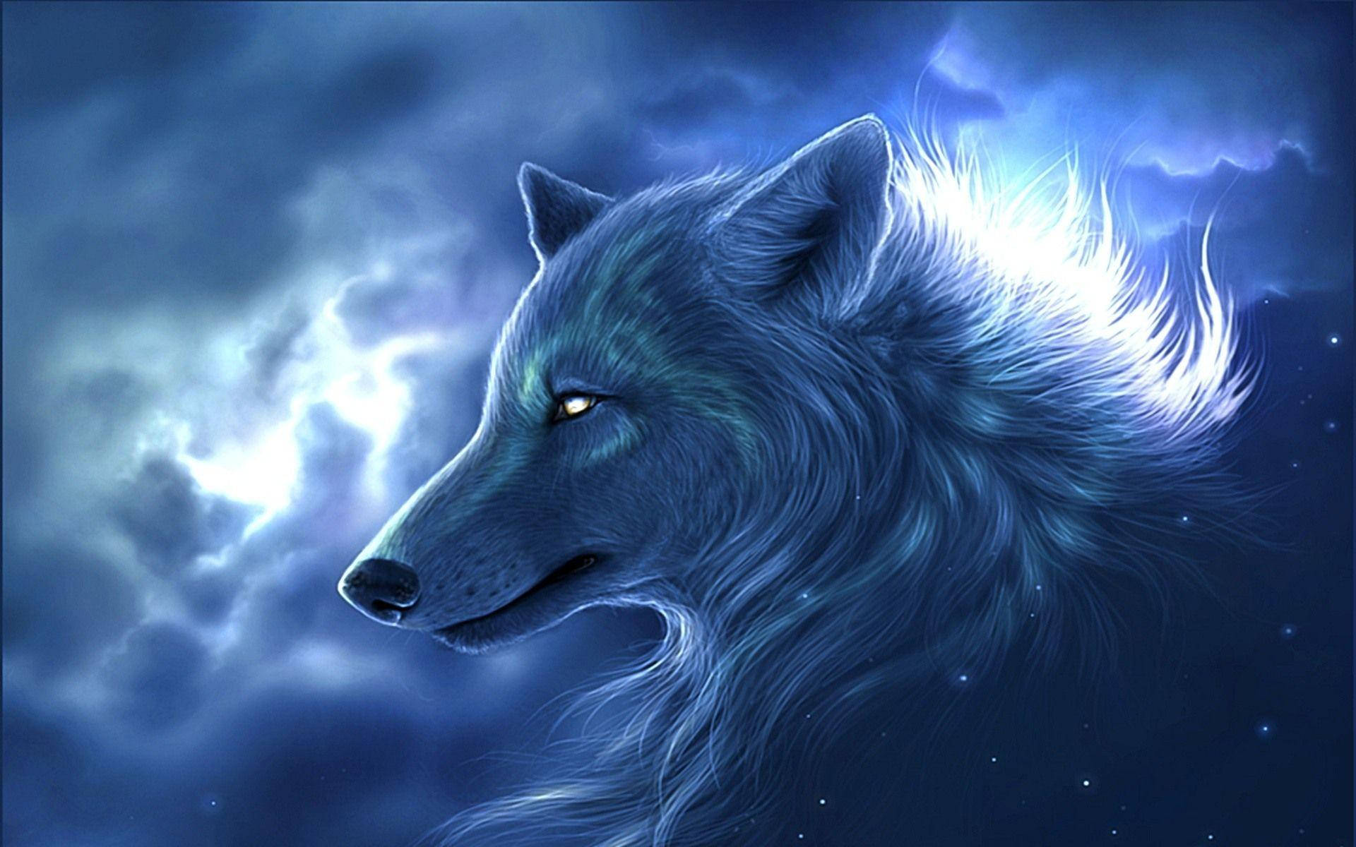 Wolf 1920X1200 Wallpaper and Background Image