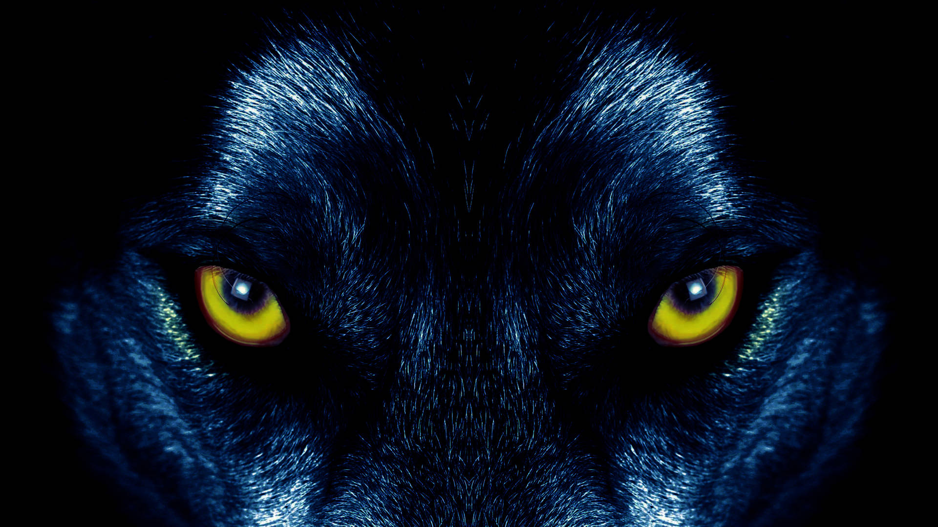 Wolf 6222X3500 wallpaper