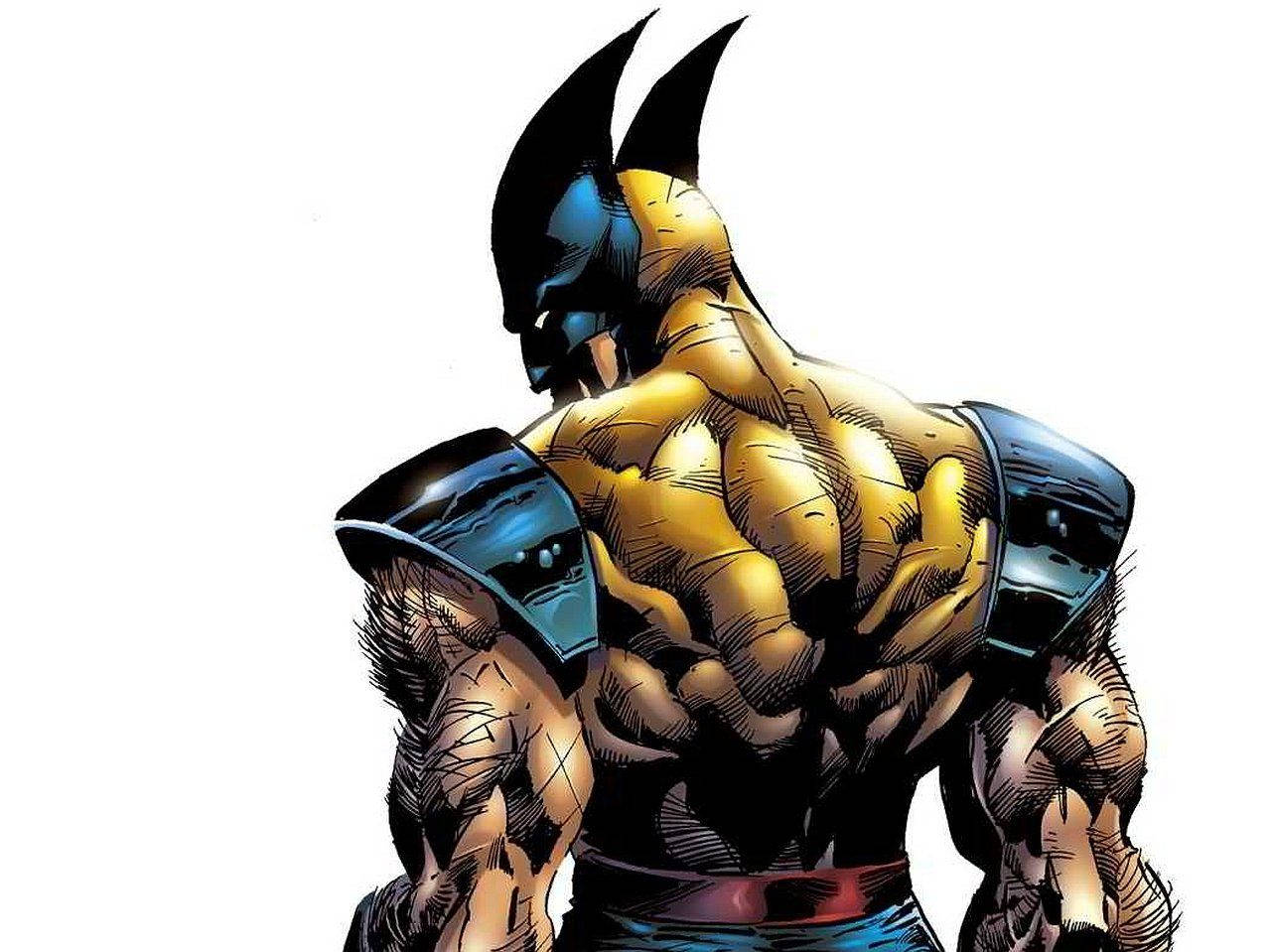 Wolverine 1280X959 Wallpaper and Background Image