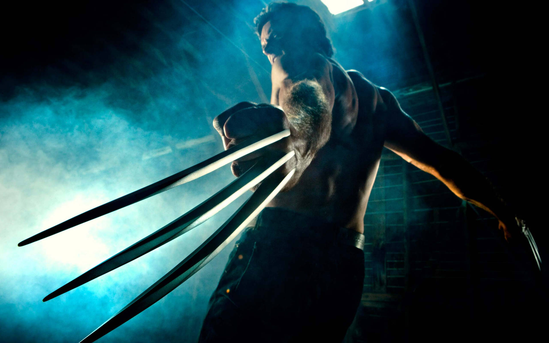 Wolverine 2560X1600 Wallpaper and Background Image