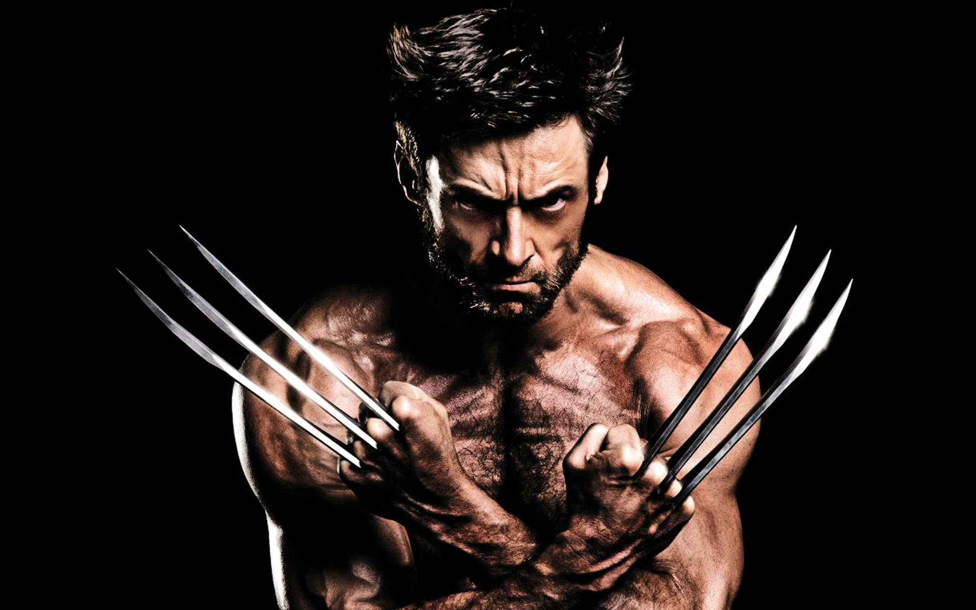 Wolverine 2880X1800 Wallpaper and Background Image