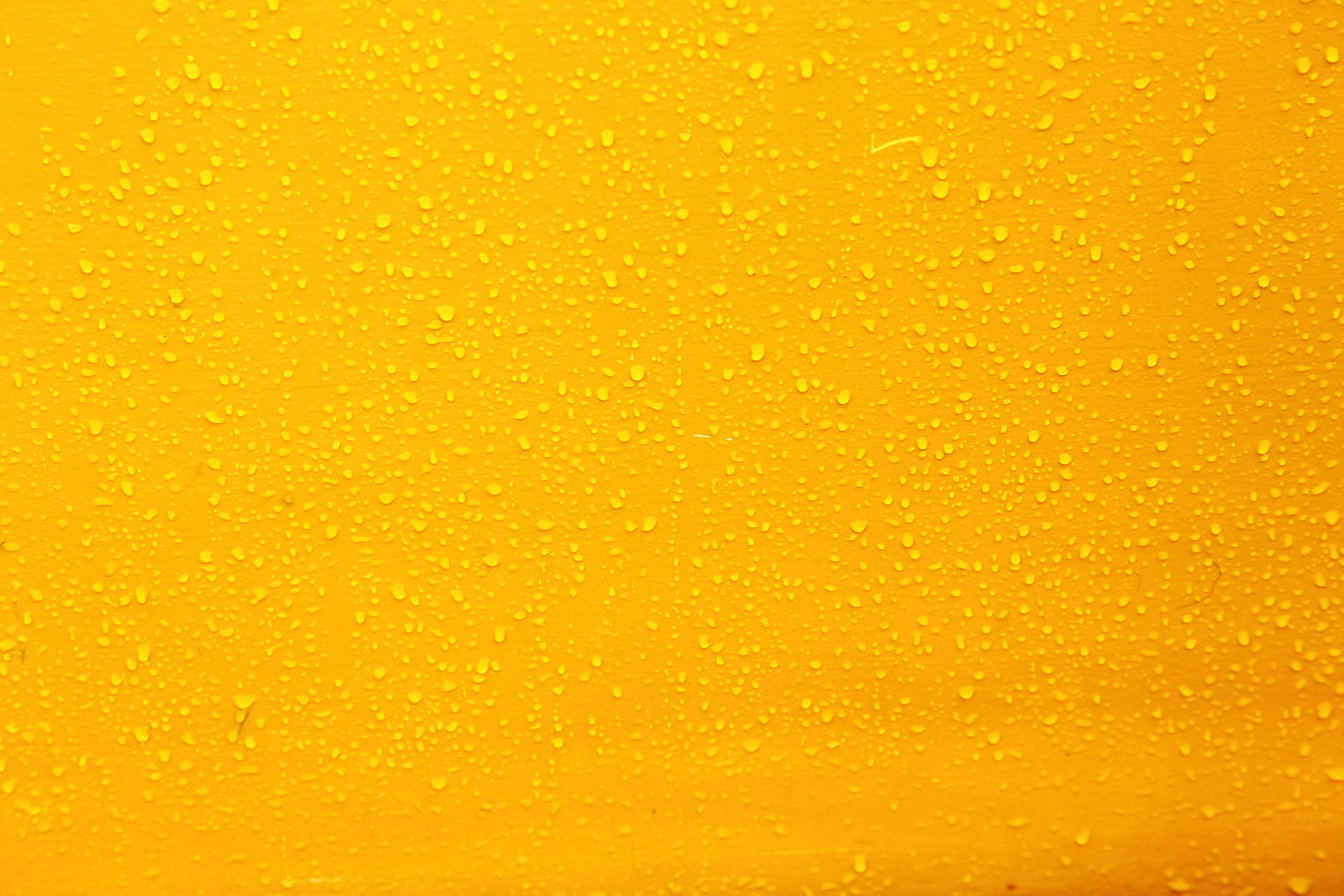 Yellow 5120X3413 wallpaper