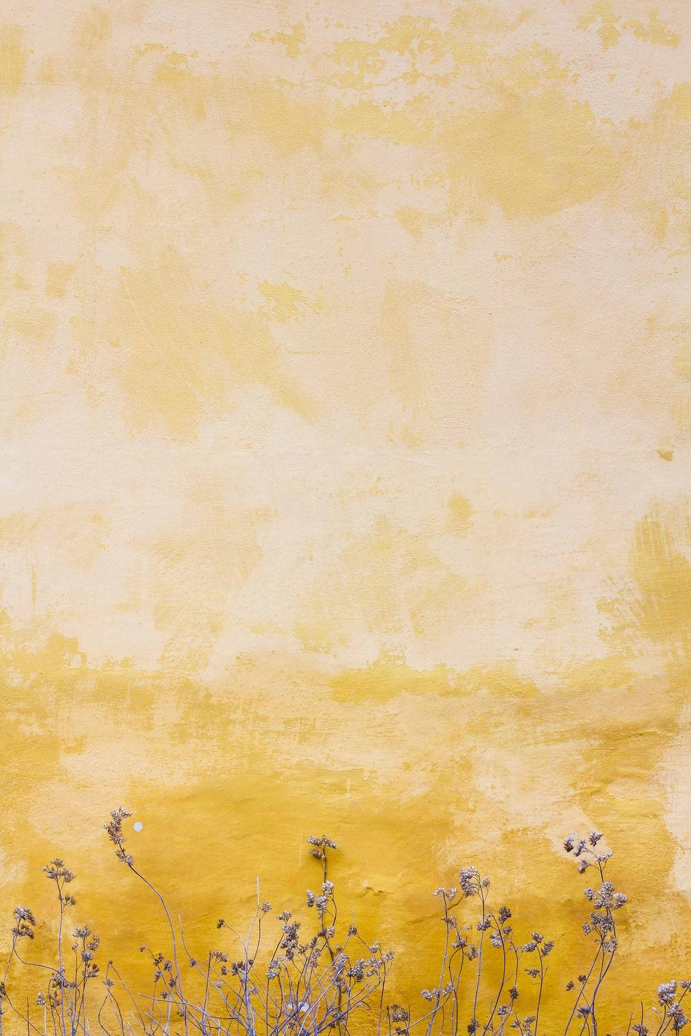 Yellow Aesthetic 1000X1500 Wallpaper and Background Image