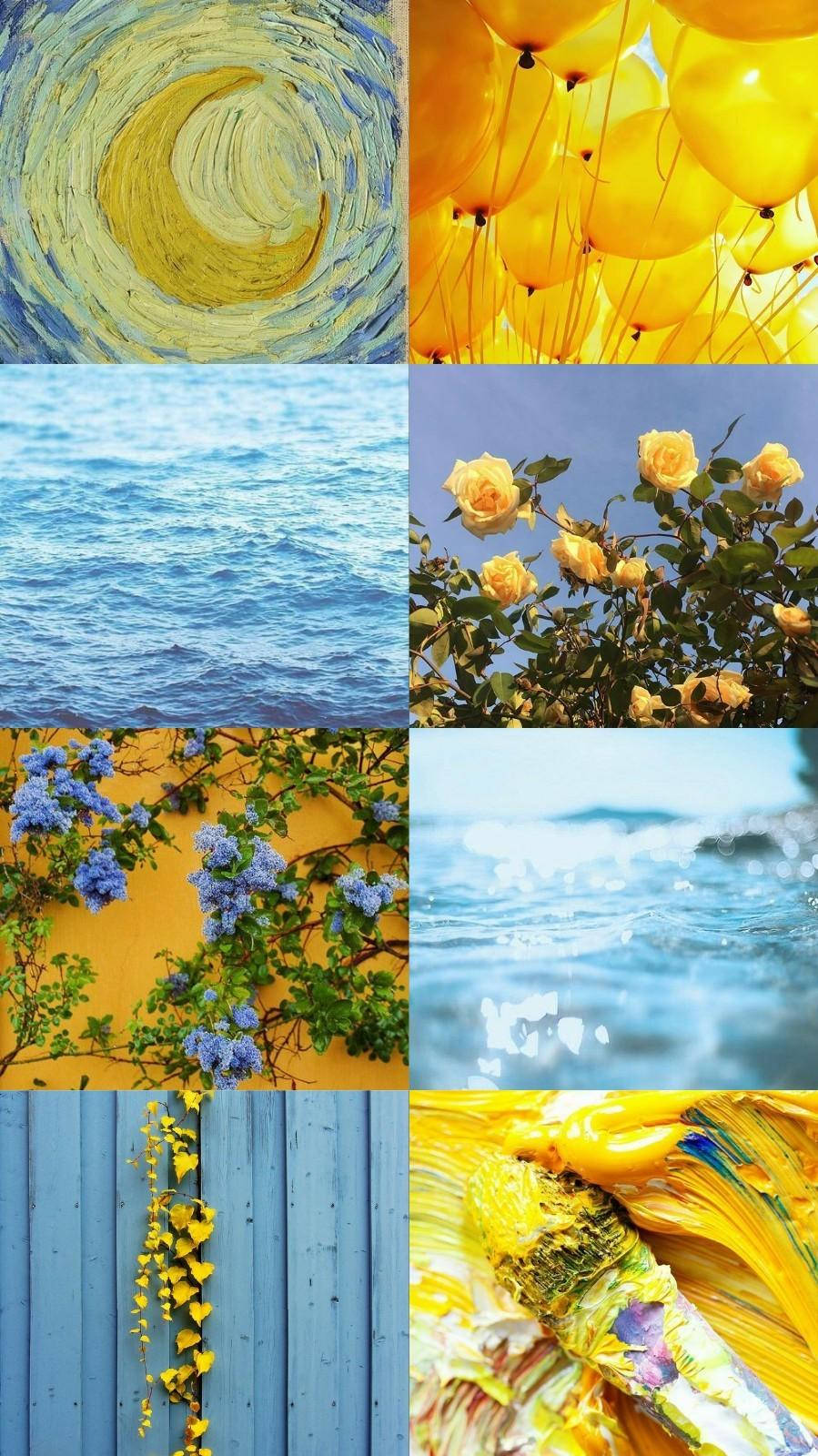 899X1600 Yellow Aesthetic Wallpaper and Background