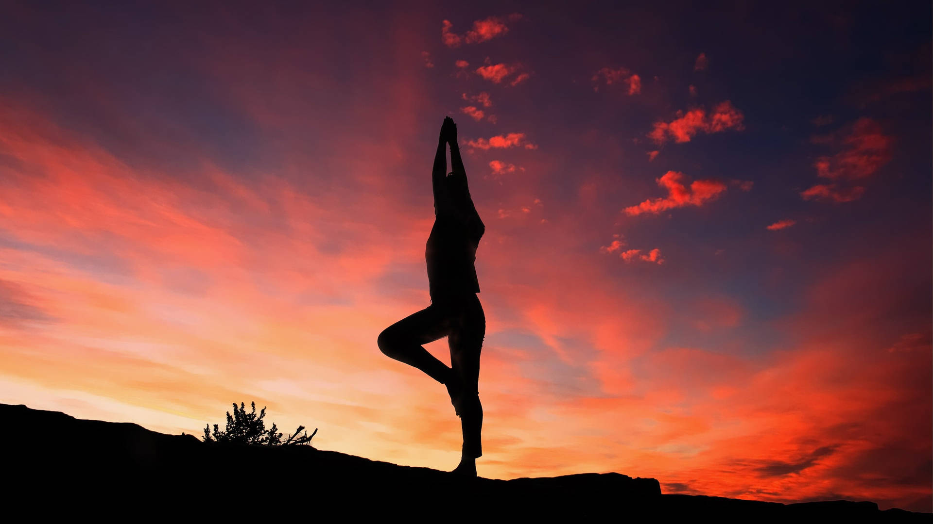 2560X1440 Yoga Wallpaper and Background