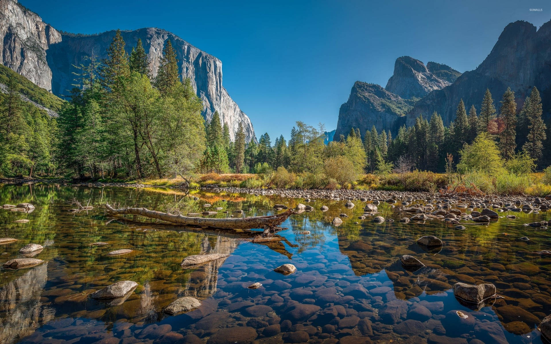 Yosemite 2560X1600 Wallpaper and Background Image