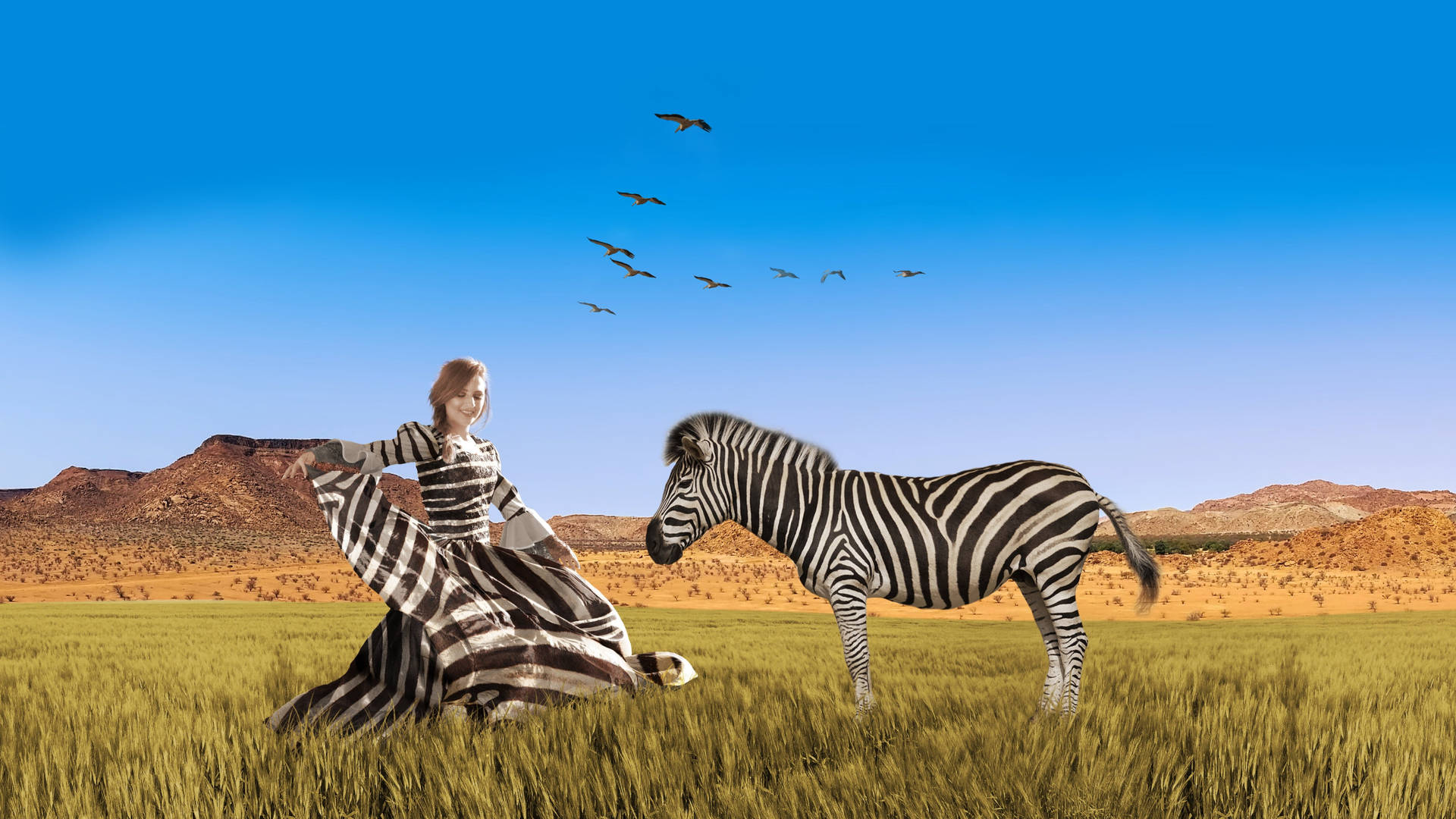 2560X1440 Zebra Wallpaper and Background